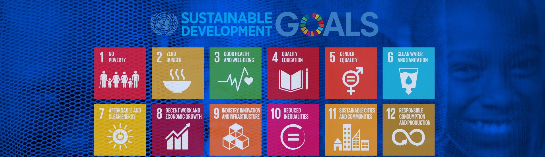 Malaria & Sustainable Development Goals